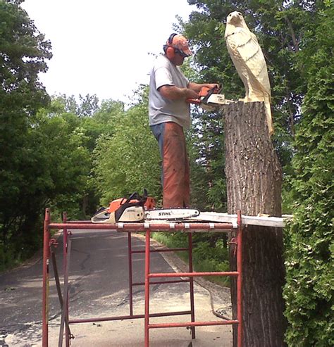 dave shelly and chainsaw|minnesota wood carvers.